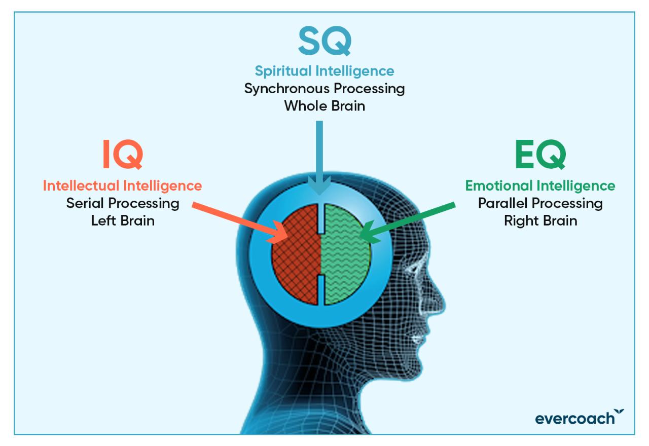 Spectrum intelligence