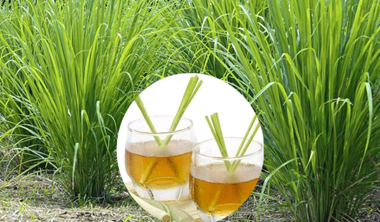 Lemongrass spiritual benefits