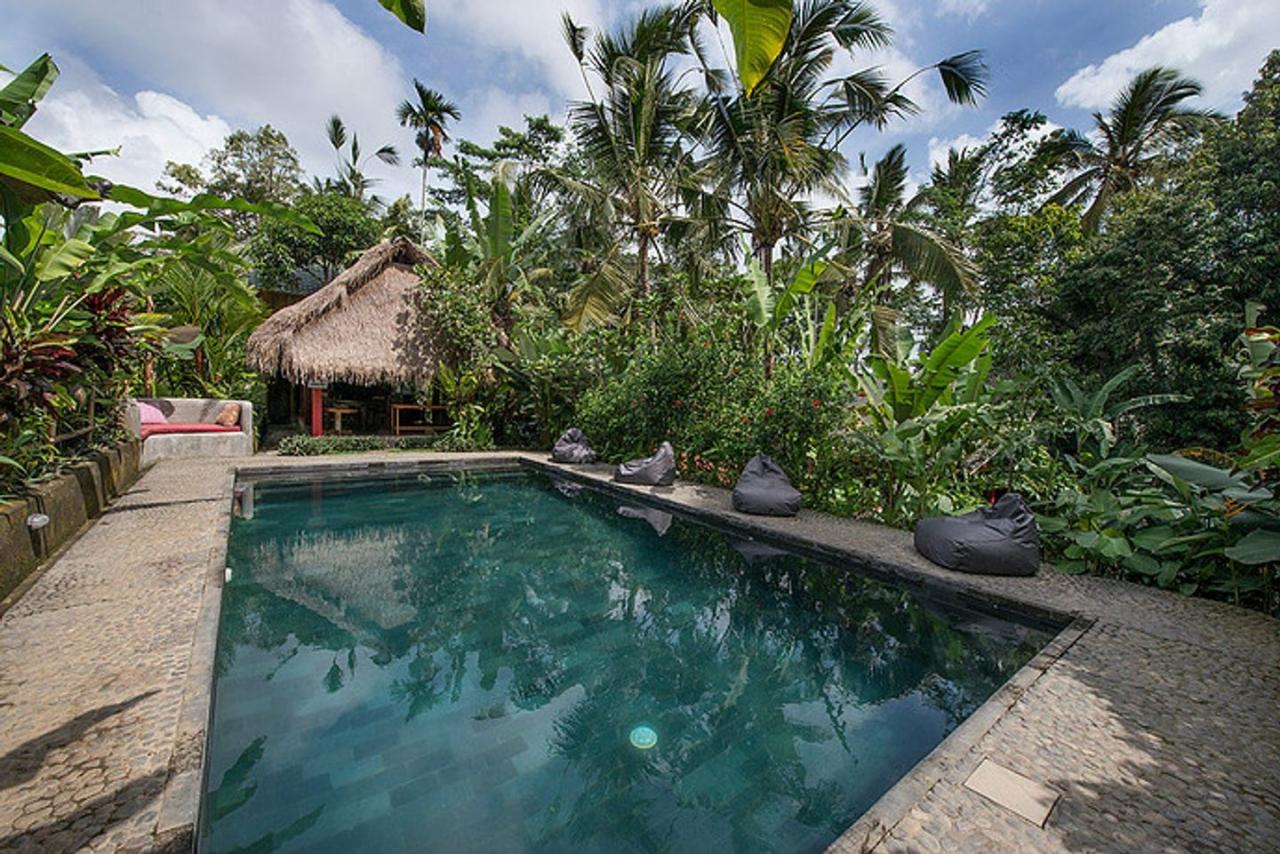 Ubud tour healer balinese traditional private visit day full Ubud tour healer balinese traditional private visit day full